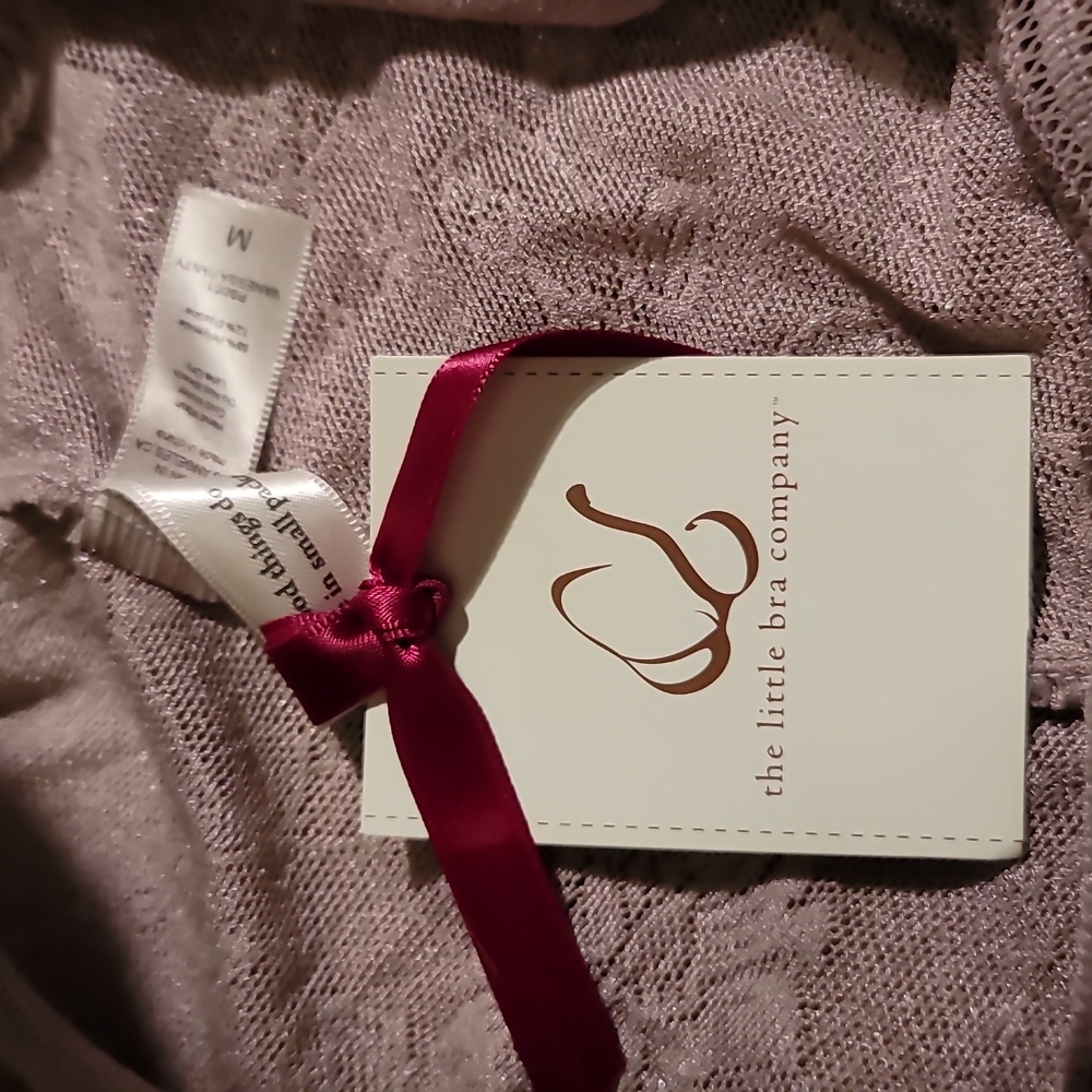 The Little Bra Company Mesh Embroidered Panties - Picture 15 of 16